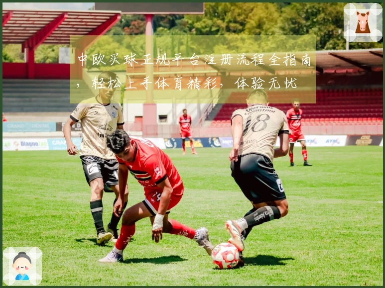 中欧买球正规平台注册流程全指南，轻松上手体育精彩，体验无忧