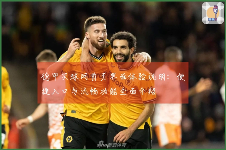 德甲买球网首页界面体验说明：便捷入口与流畅功能全面介绍