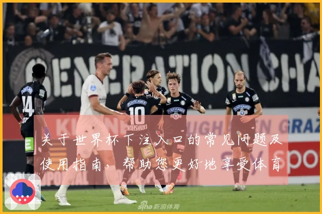 关于世界杯下注入口的常见问题及使用指南,帮助您更好地享受体育盛宴