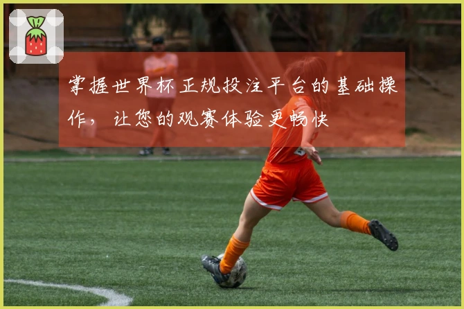 掌握世界杯正规投注平台的基础操作，让您的观赛体验更畅快